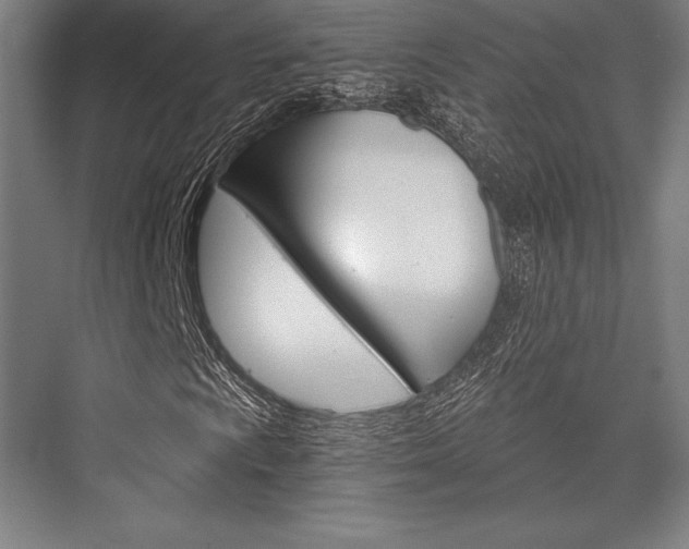 X0000076431009200610060953