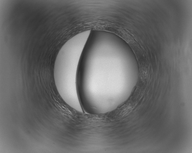 X0000076431010200610060953