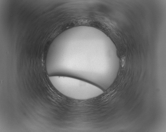 X0000076431011200610060953
