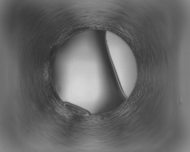 X0000076431012200610060953