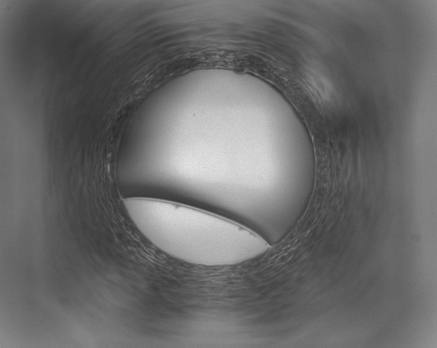 X0000076431013200610060954