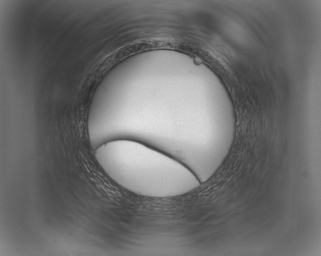 X0000076431015200610060954