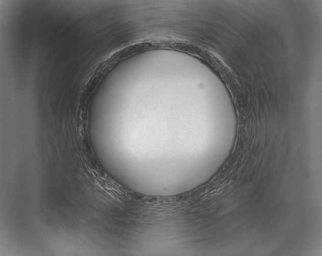 X0000076431016200610060954
