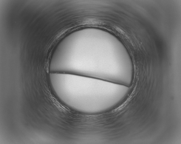X0000076431017200610060954
