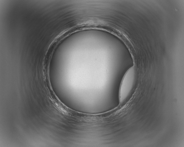 X0000076431018200610060954