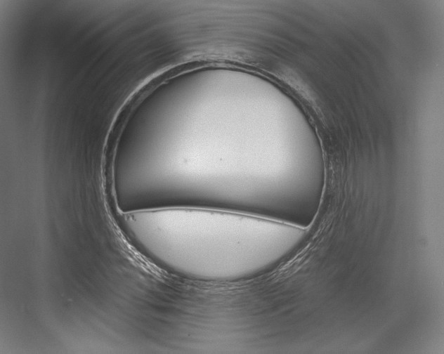 X0000076431020200610060954