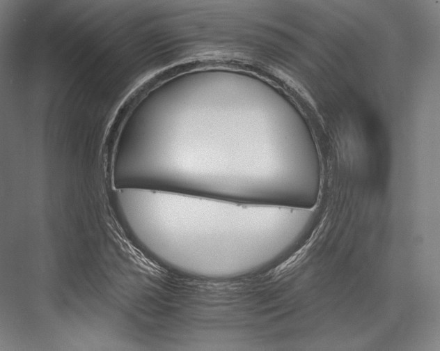 X0000076431021200610060954