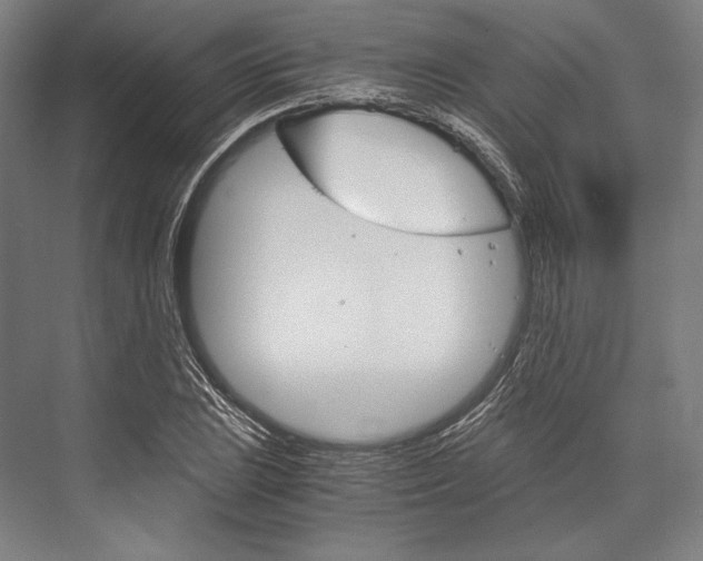 X0000076431023200610060954
