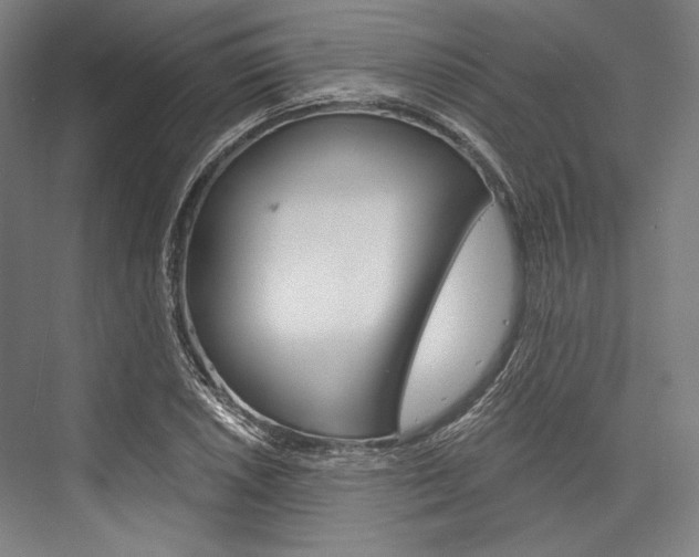 X0000076431026200610060954