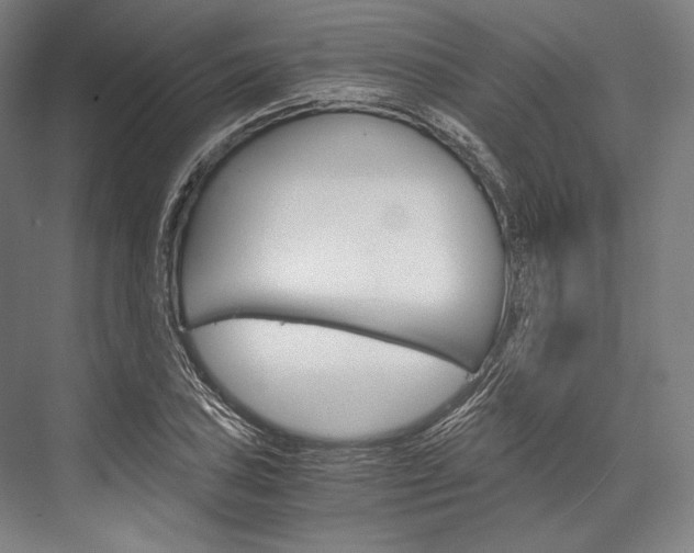 X0000076431027200610060954
