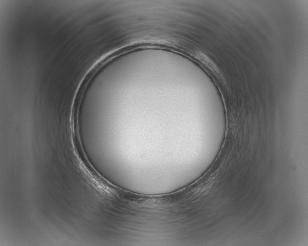 X0000076431028200610060954