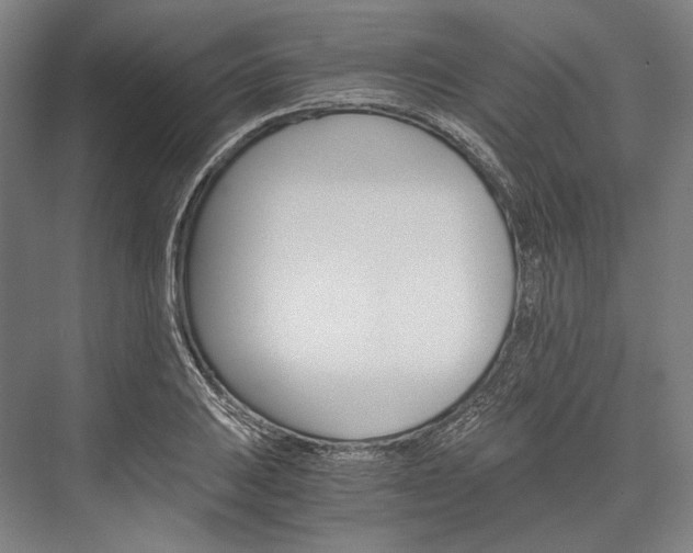 X0000076431031200610060954