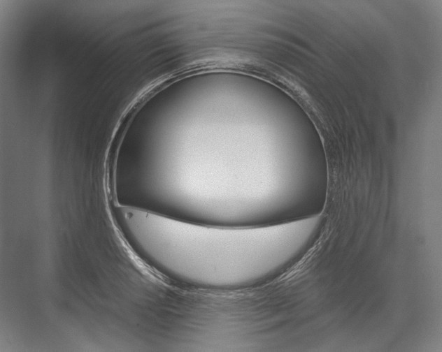 X0000076431034200610060954