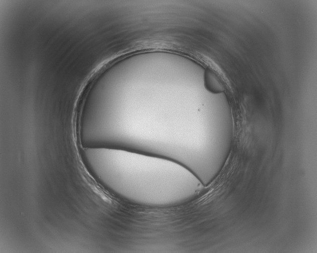 X0000076431035200610060954