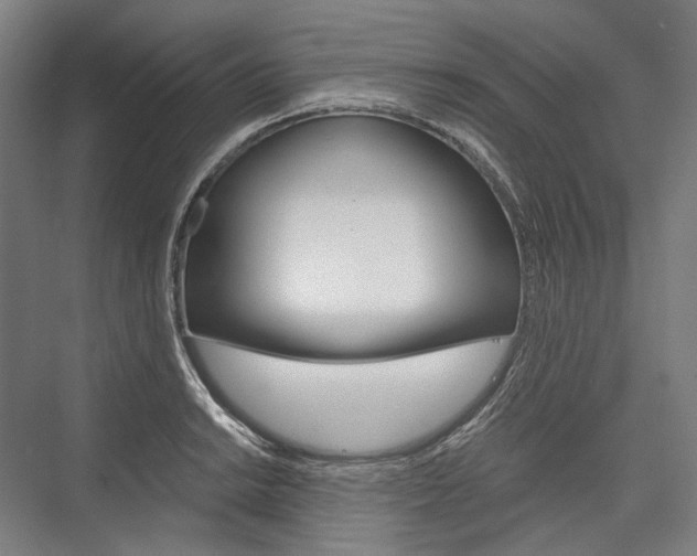 X0000076431038200610060954
