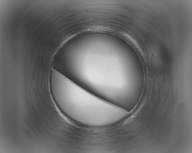 X0000076431041200610060954
