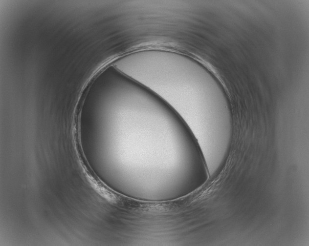 X0000076431042200610060954