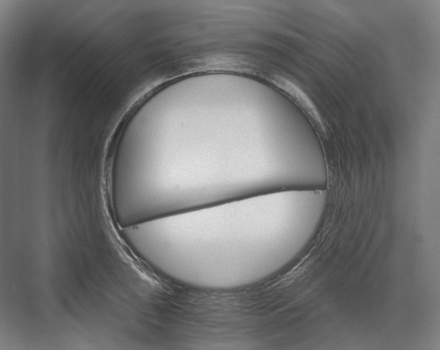 X0000076431043200610060954