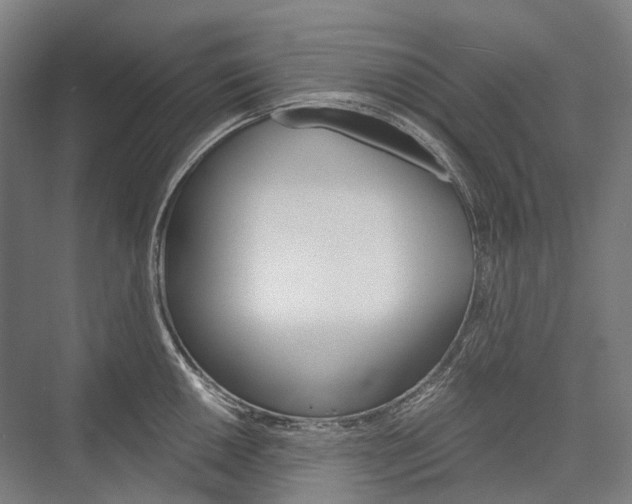 X0000076431050200610060954