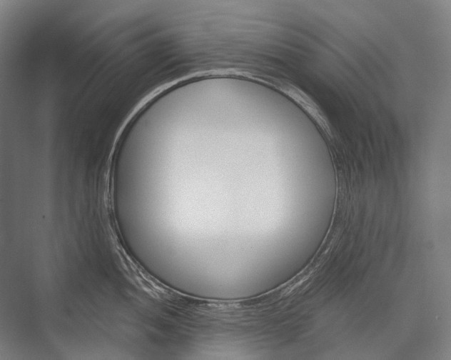 X0000076431052200610060954