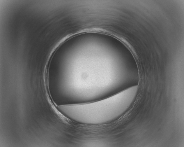 X0000076431054200610060954