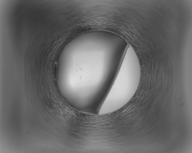 X0000076431057200610060953