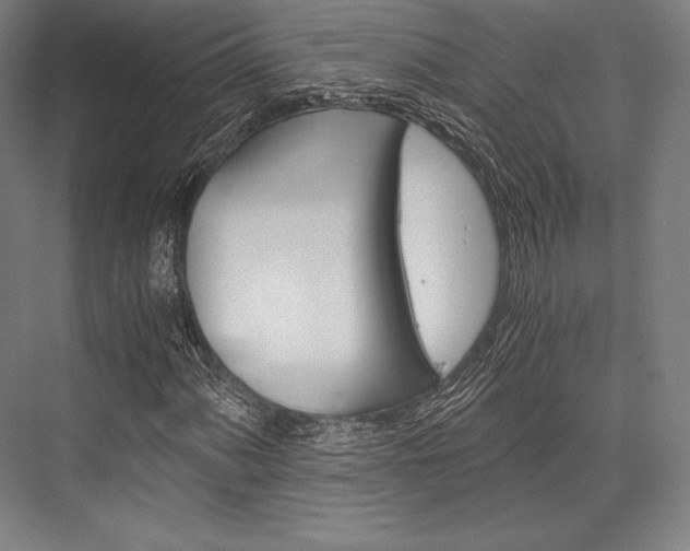 X0000076431060200610060953