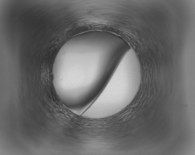 X0000076431061200610060953