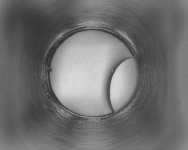 X0000076431067200610060953