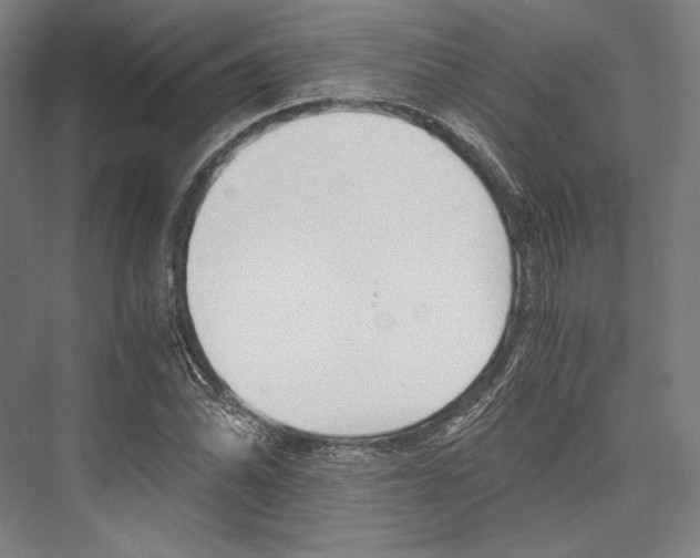 X0000076431070200610060953