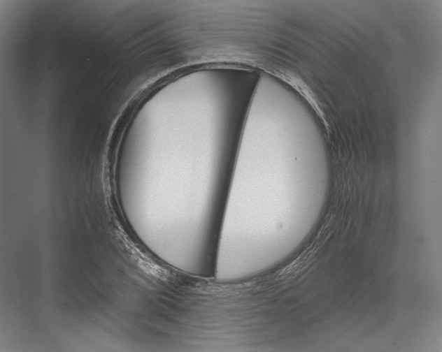 X0000076431072200610060953