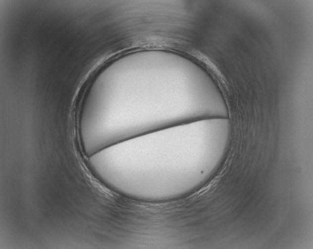 X0000076431075200610060953