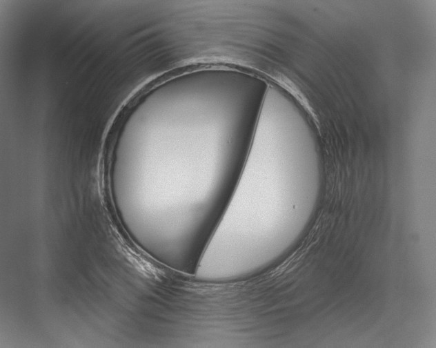 X0000076431076200610060953