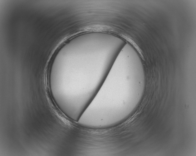 X0000076431083200610060953