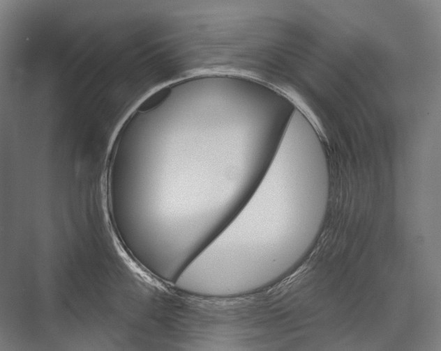 X0000076431100200610060953