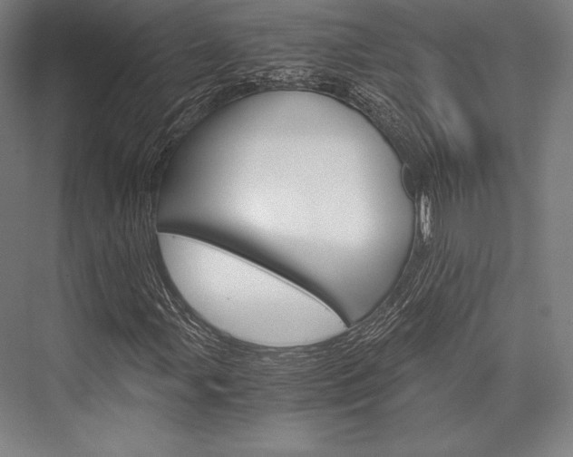 X0000076431107200610060952