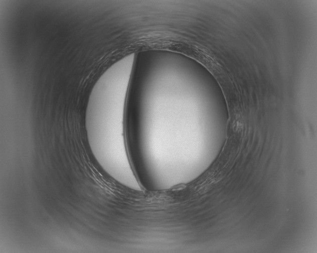 X0000076431108200610060952