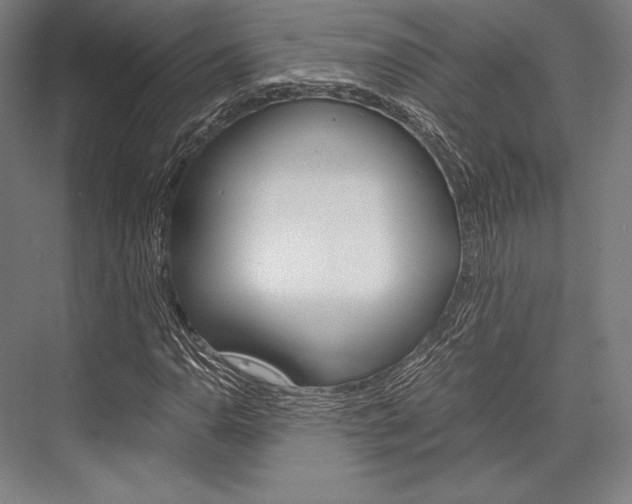 X0000076431110200610060952