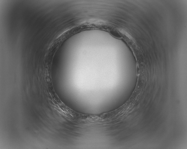 X0000076431112200610060952
