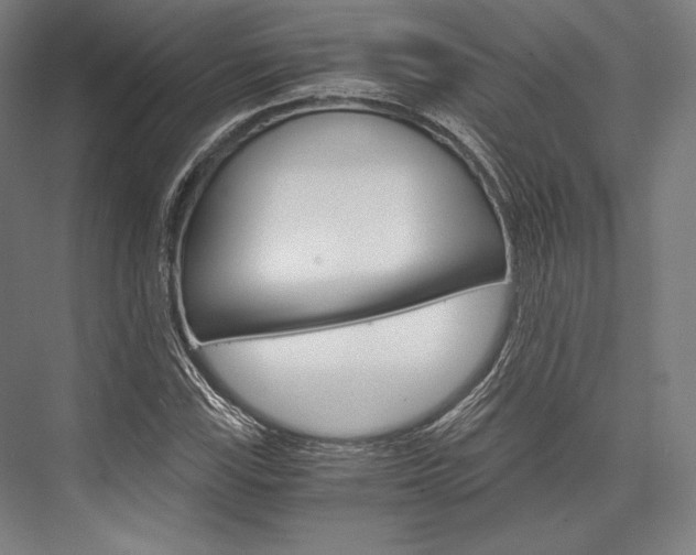 X0000076431115200610060952
