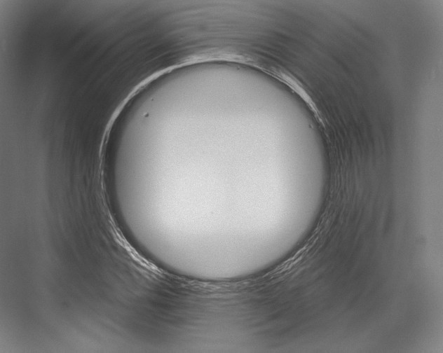X0000076431116200610060952