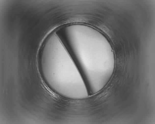 X0000076431119200610060952