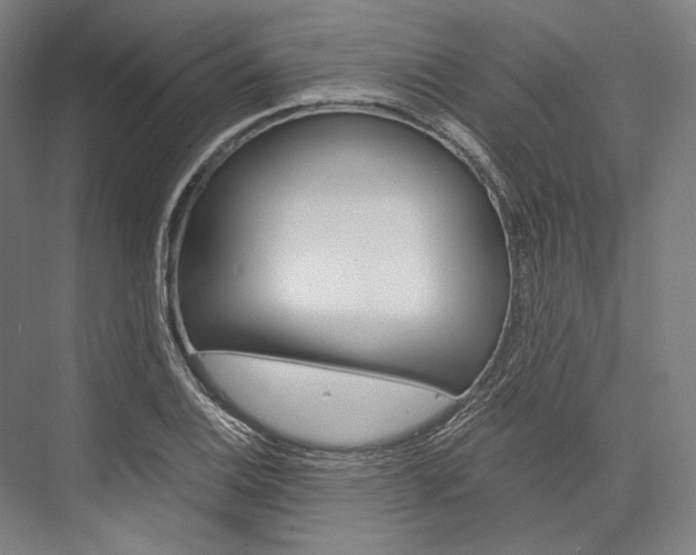 X0000076431124200610060952