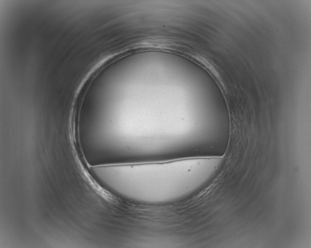 X0000076431131200610060952