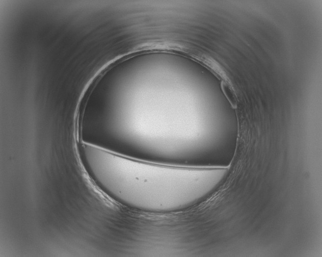 X0000076431132200610060952