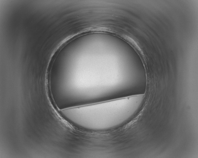 X0000076431133200610060952
