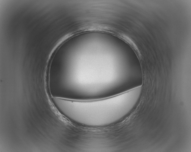 X0000076431138200610060952