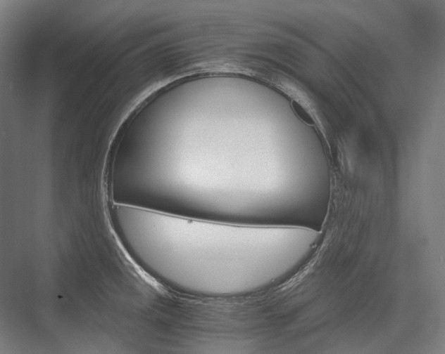 X0000076431141200610060952