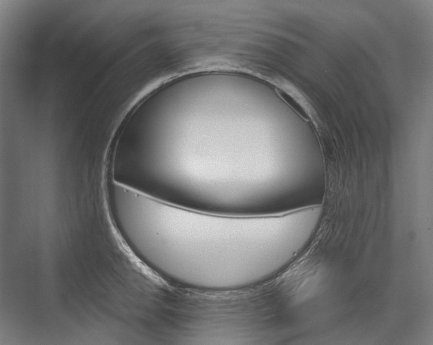 X0000076431142200610060952