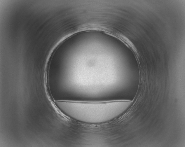 X0000076431144200610060952